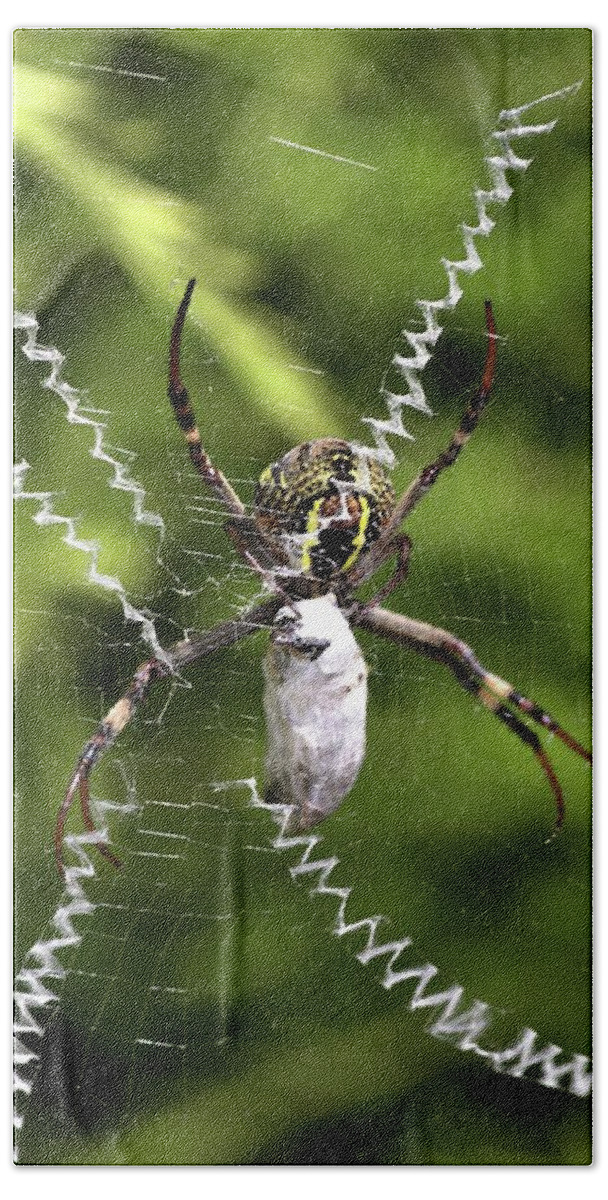 Spider Bath Towel featuring the photograph Orb Weaver by Joy Watson