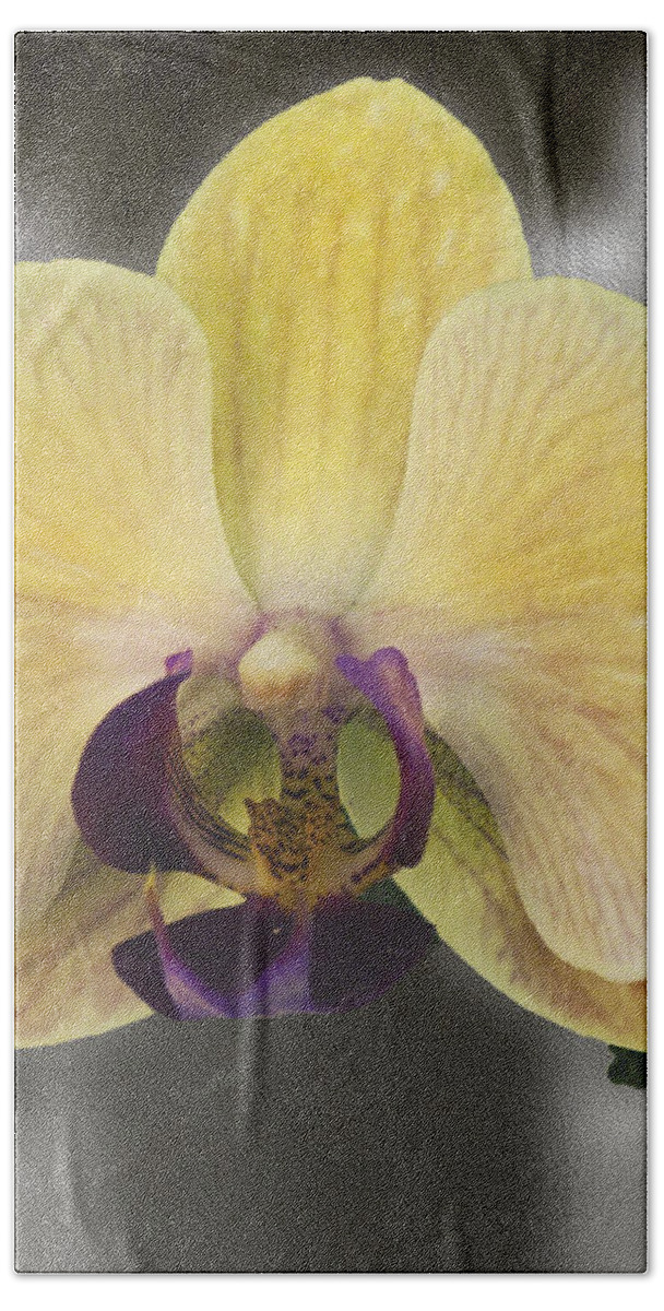 Mixed Media Hand Towel featuring the photograph Orchid Study III by Patricia Griffin Brett