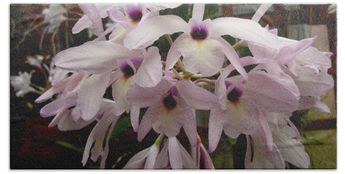 Flowers Hand Towel featuring the photograph Orchids Beauty by Donna Brown