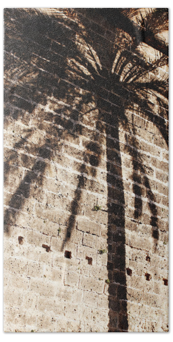 Palmera Hand Towel featuring the photograph Palm shadow by Agusti Pardo Rossello