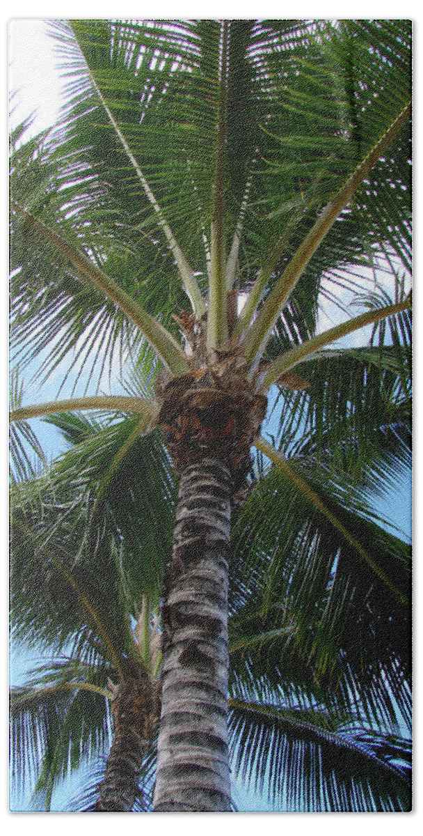 Tropical Palm Trees Hand Towel featuring the photograph Palm Tree Umbrella by Athena Mckinzie