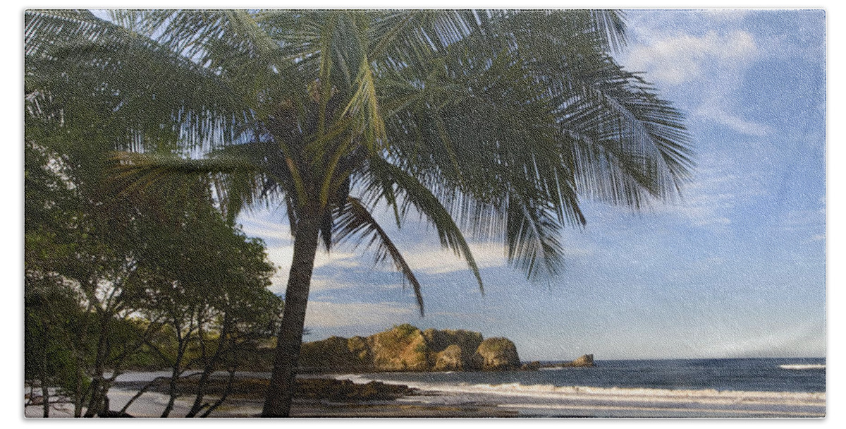 00429553 Bath Towel featuring the photograph Palm Trees Line Pelada Beach Costa Rica by Tim Fitzharris