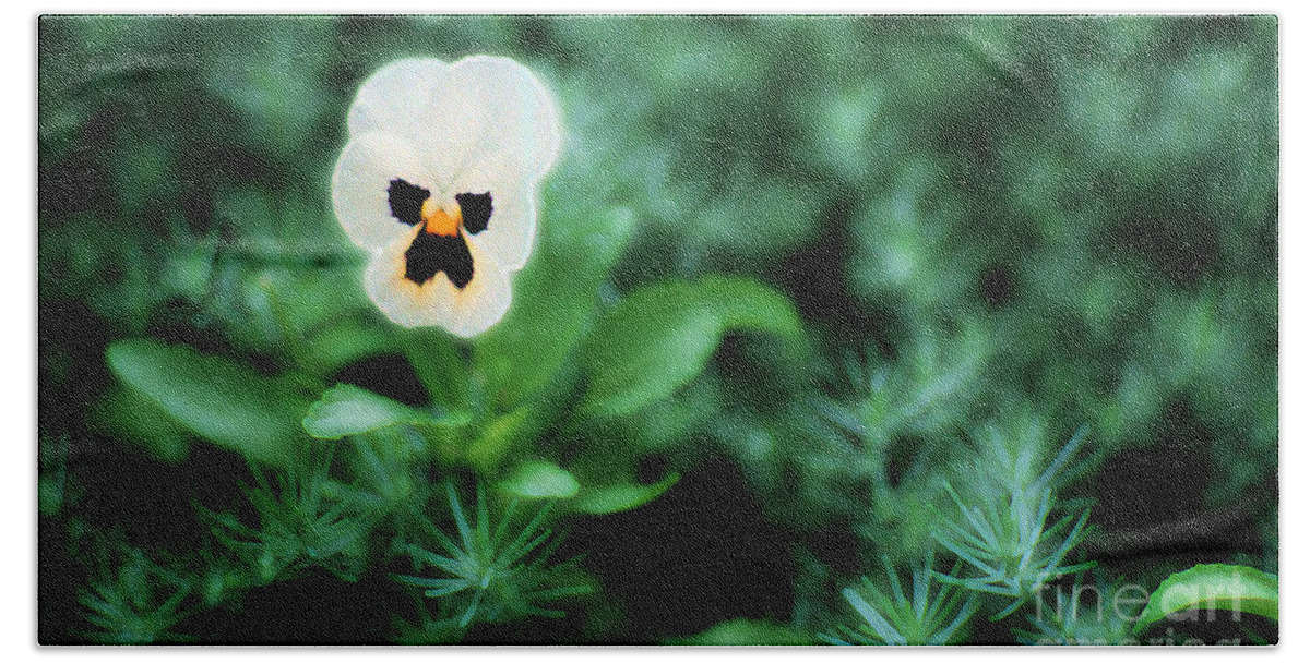 Pansy Bath Towel featuring the photograph Pansy Face by Mike Nellums
