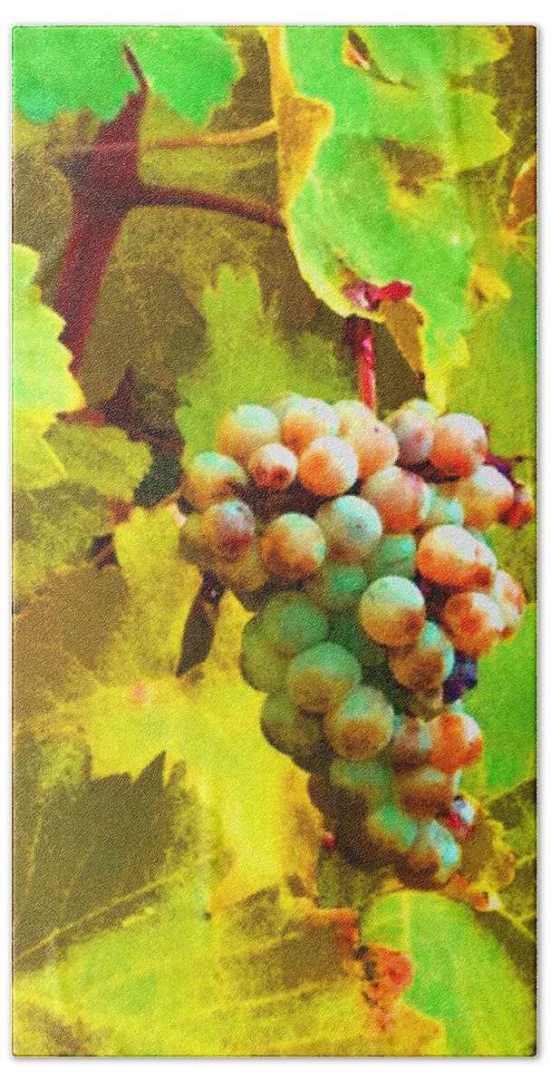 Ed Paschke Hand Towel featuring the photograph Paschke Grapes by Kathy Corday