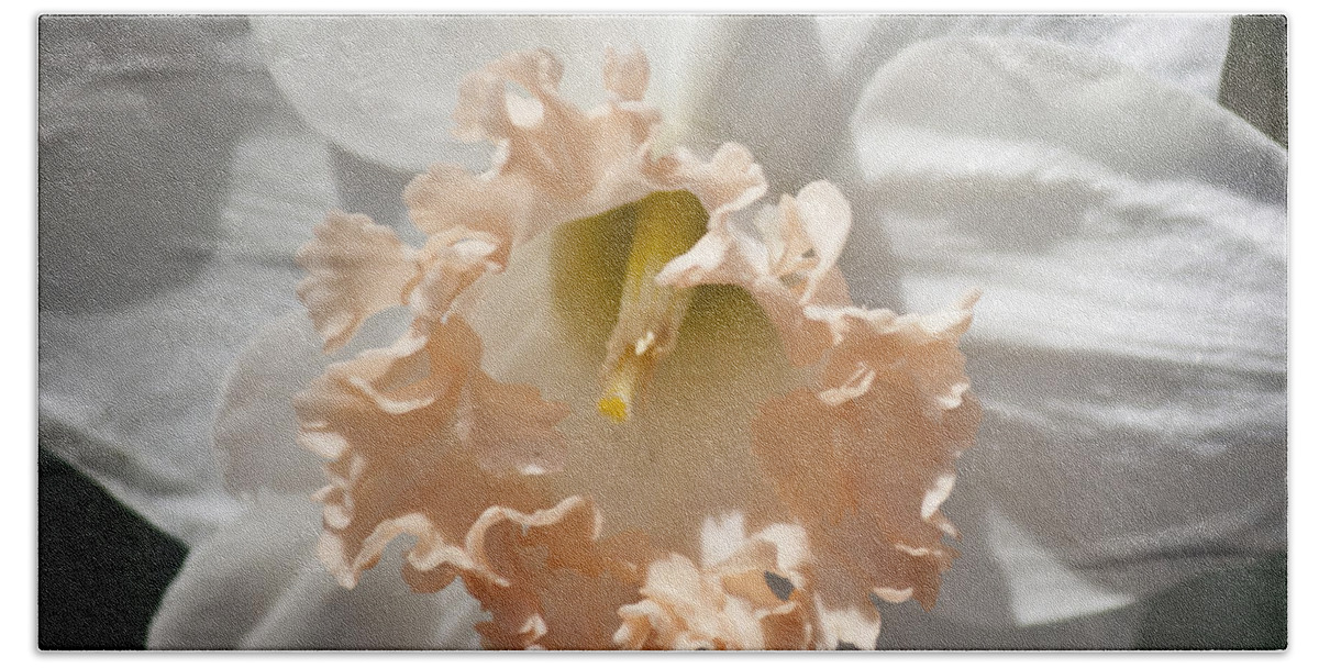 Daffodil Bath Sheet featuring the photograph Peach Ruffle Square 1 by Teresa Mucha