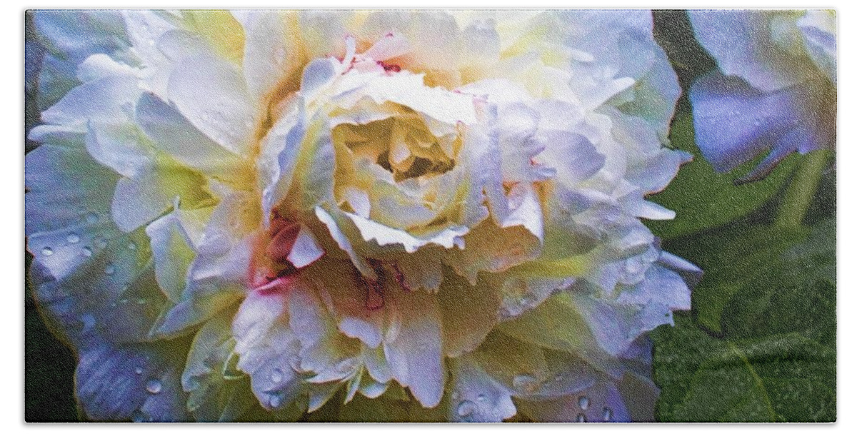 Flower Photographs Hand Towel featuring the photograph Peony Beauty by Christiane Kingsley