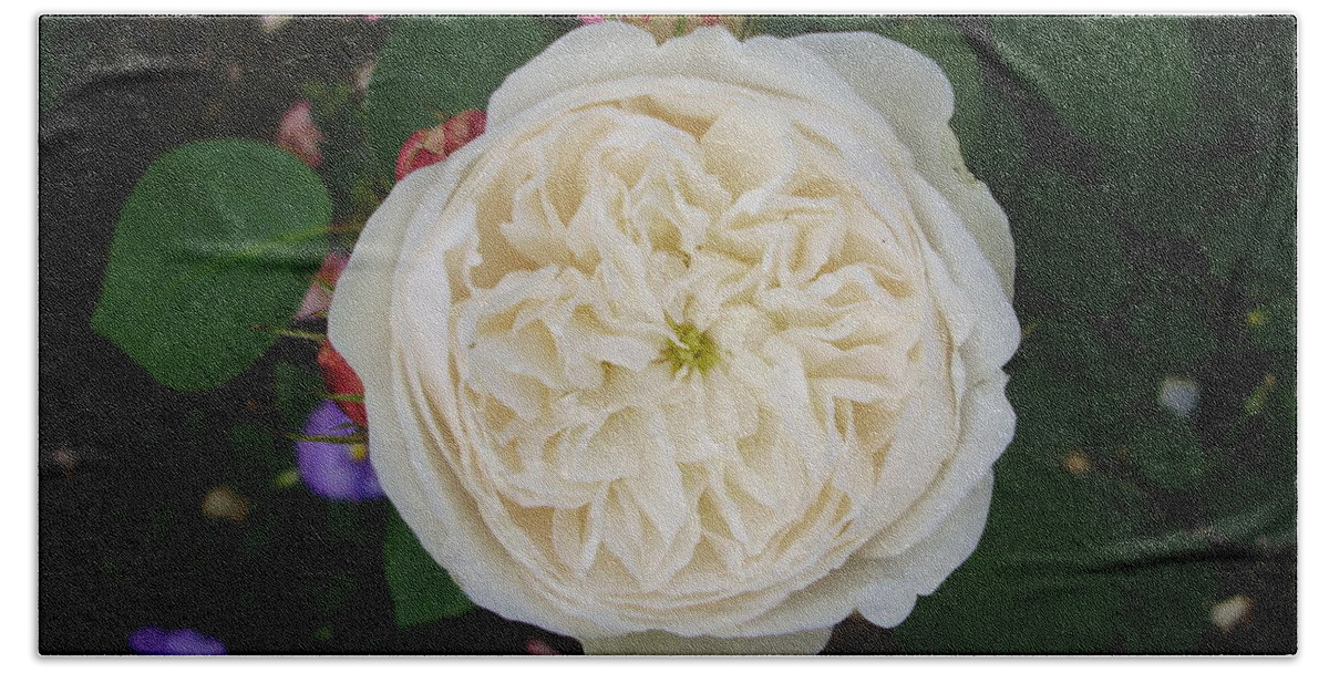 Roses Hand Towel featuring the photograph Perfect Symmetry by Anjel B Hartwell