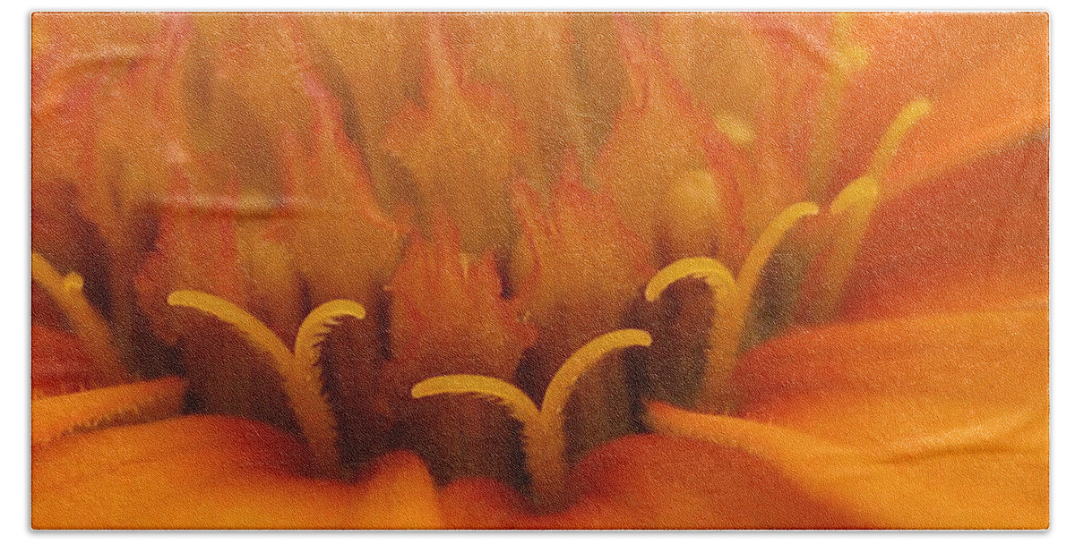 Flower Hand Towel featuring the photograph Orange Flower Petals by Susan Carella