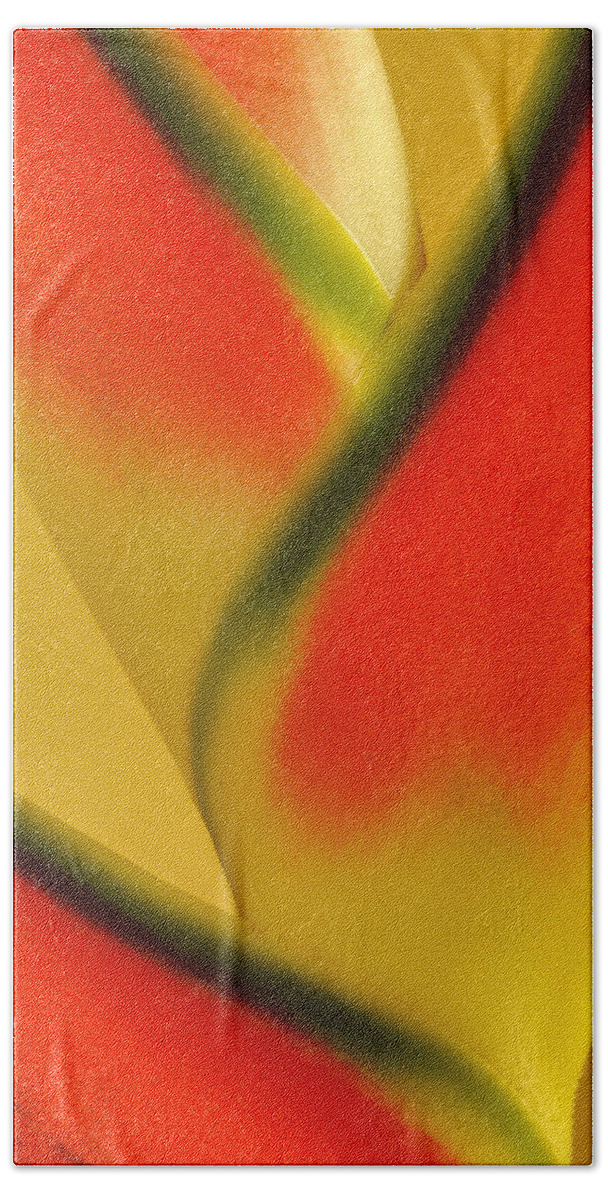 Flowers Hand Towel featuring the photograph Photograph of a Lobster Claws Heliconia by Perla Copernik