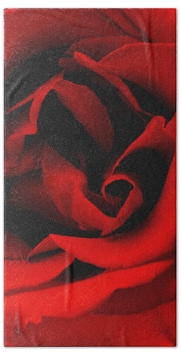 Perla Copernik Bath Towel featuring the photograph Photograph of a Red Rose by Perla Copernik