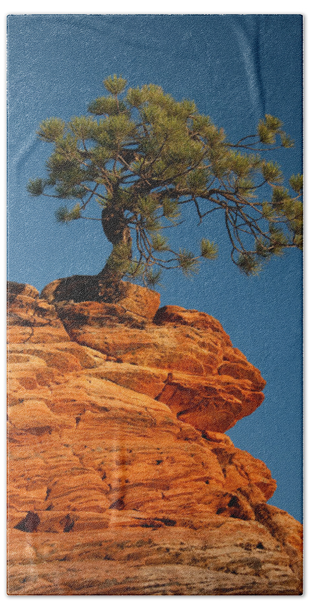 Pine Bath Towel featuring the photograph Pine On Rock by Ralf Kaiser