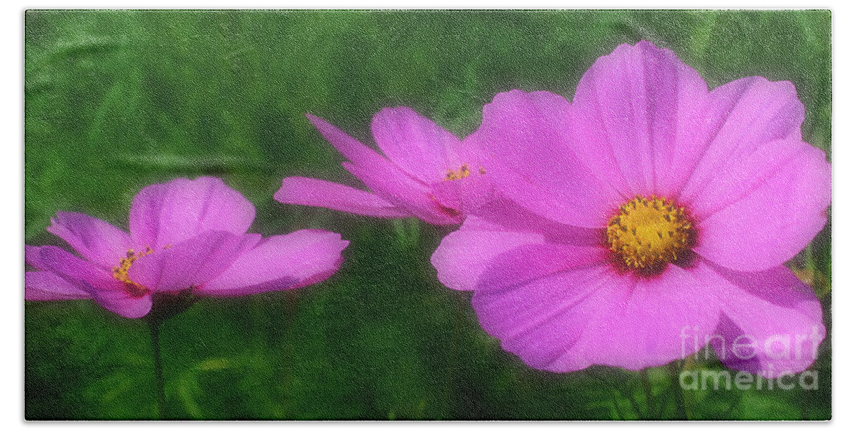 Cosmos Bath Towel featuring the photograph Pink Cosmos Flowers by Smilin Eyes Treasures
