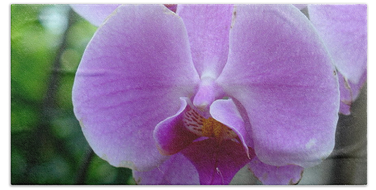 Pink Bath Towel featuring the photograph Pink Orchid by Charles and Melisa Morrison