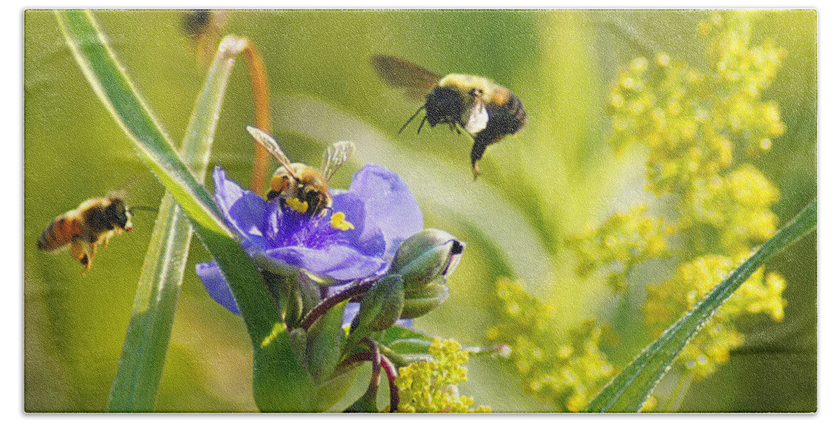 Bee Bath Towel featuring the photograph Popular Spot by Bill Pevlor