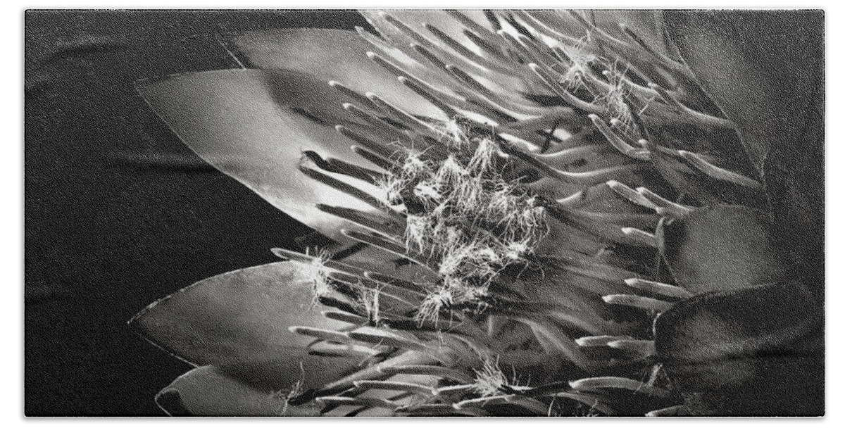 Flower Bath Towel featuring the photograph Protea in Black and White by Endre Balogh