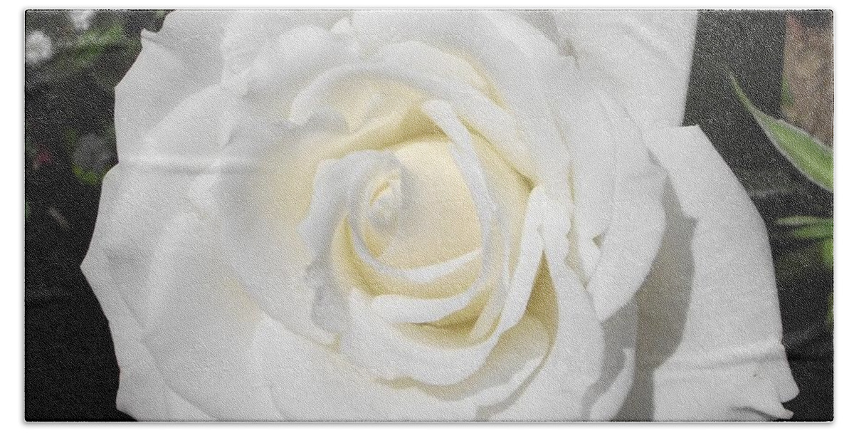 Rose Garden Hand Towel featuring the photograph Pure White Rose by Michelle Welles