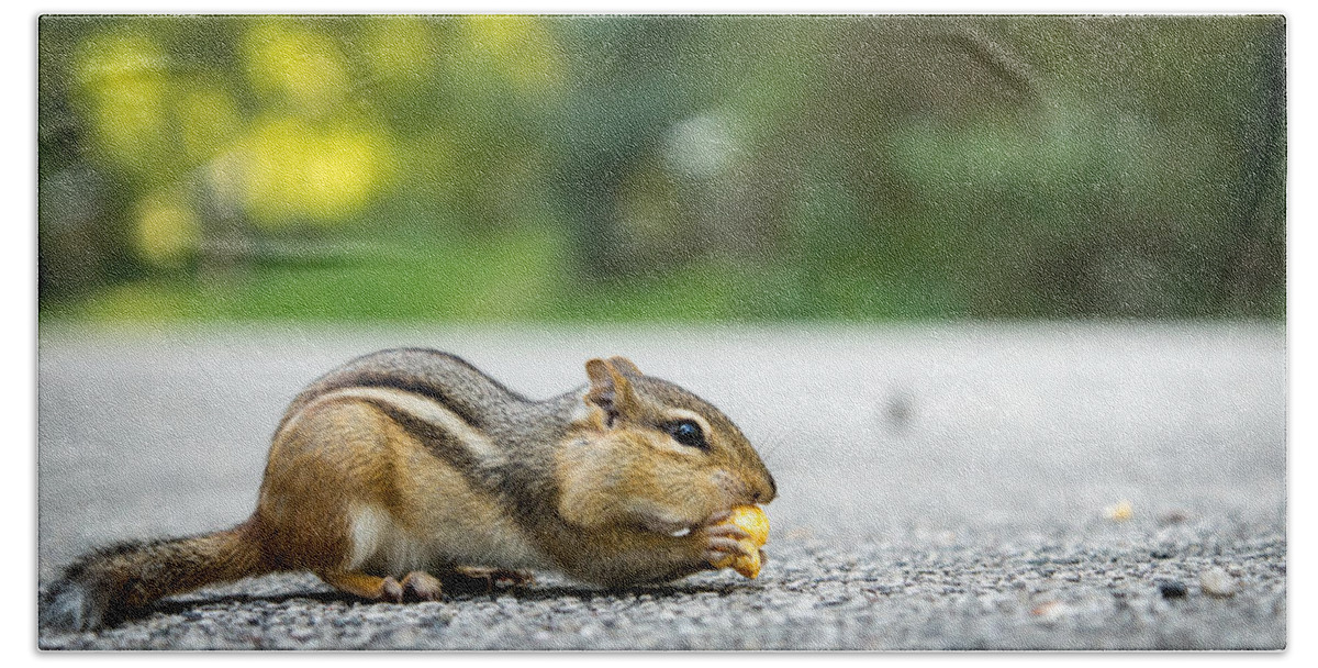 Ground Squirrel Hand Towel featuring the photograph Rare Treat by Bill Pevlor