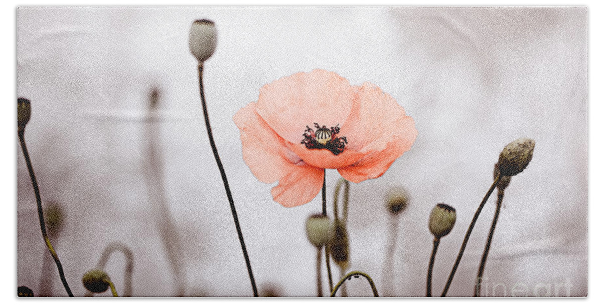 Poppy Bath Towel featuring the photograph Red Corn Poppy Flowers 01 by Nailia Schwarz