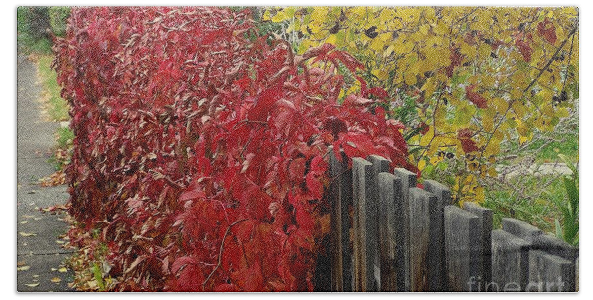 Fall Colors Bath Towel featuring the photograph Red Fence by Dorrene BrownButterfield