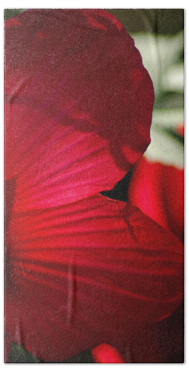 Hibiscus Hand Towel featuring the photograph Red Hibiscus by David Weeks