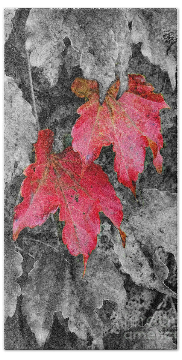 Fall Bath Towel featuring the photograph Red Leaves by Jim And Emily Bush