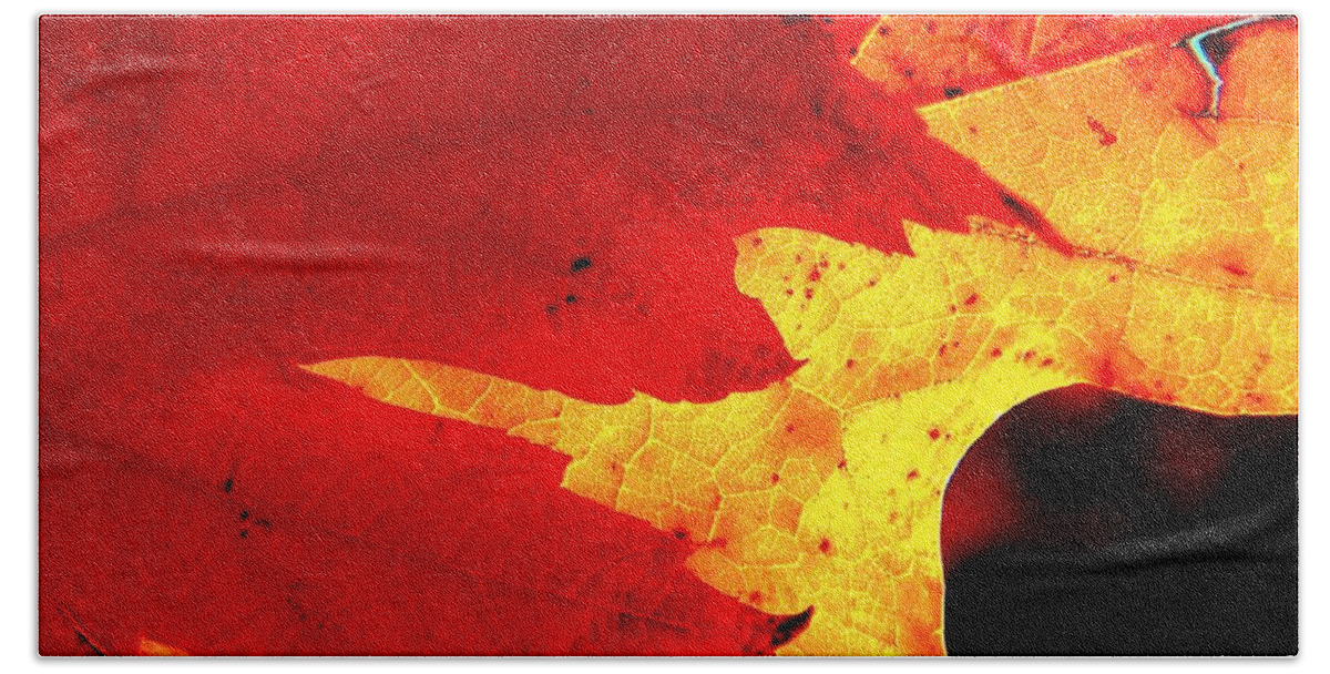 Leaves Bath Towel featuring the photograph Red On Gold by Chris Berry