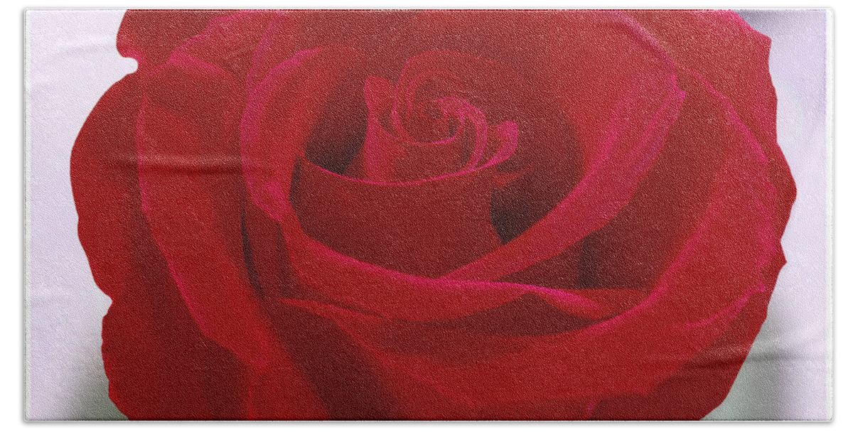 Red Rose Bath Towel featuring the photograph Red Rose by Mike McGlothlen