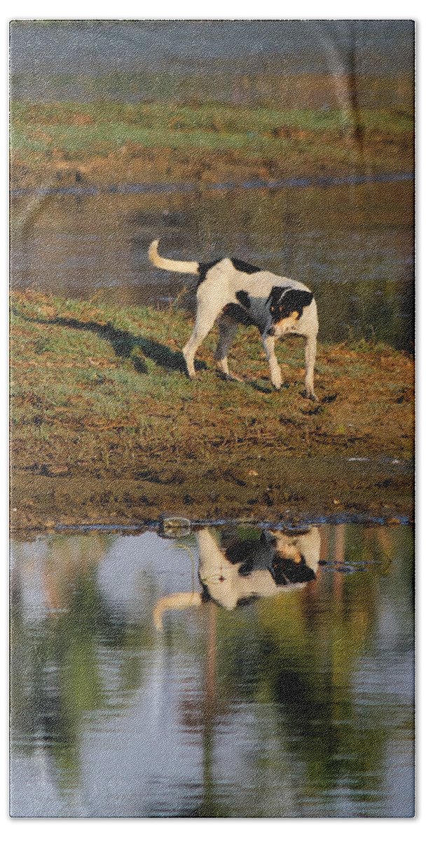 Reflection Bath Towel featuring the photograph Reflection by SAURAVphoto Online Store
