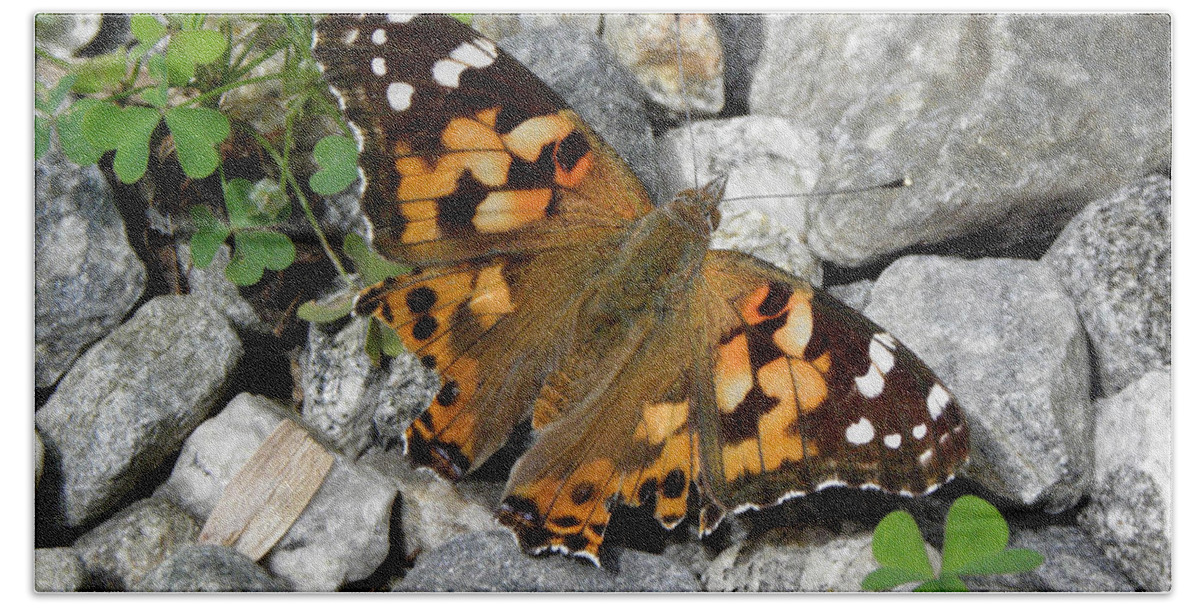 Butterfly Bath Towel featuring the photograph Resting On Rocky Clovers by Kim Galluzzo