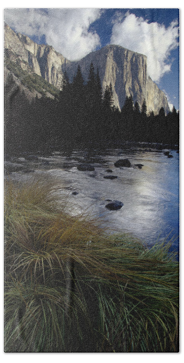 Mp Bath Towel featuring the photograph River Grasses Along The Merced River by Gerry Ellis
