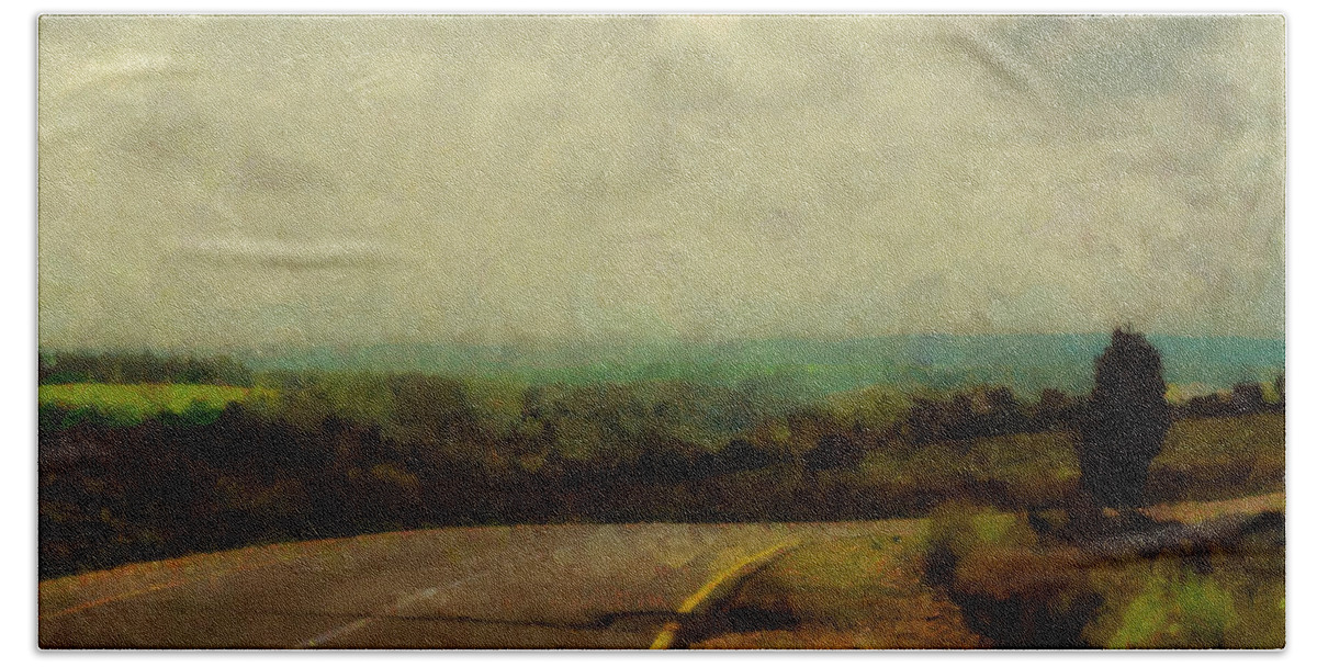 Landscape Bath Towel featuring the photograph Road in a field by Michael Goyberg