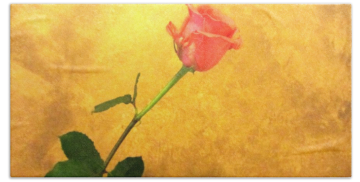 Rose Hand Towel featuring the photograph Rose on Leather by Susan Carella