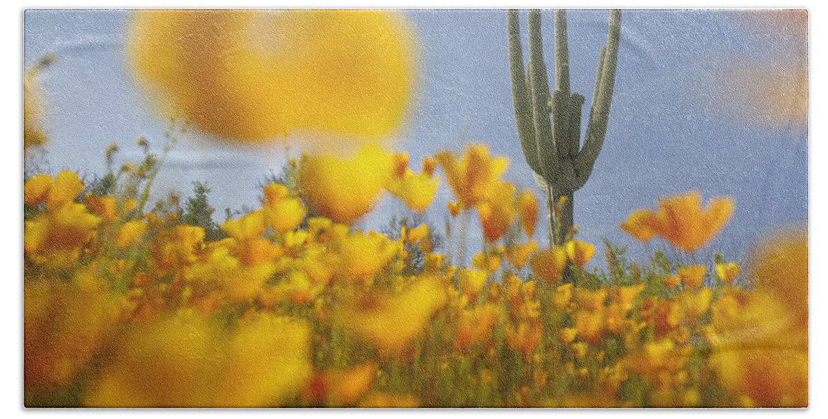 00443062 Bath Towel featuring the photograph Saguaro Cactus And California Poppies by Tim Fitzharris