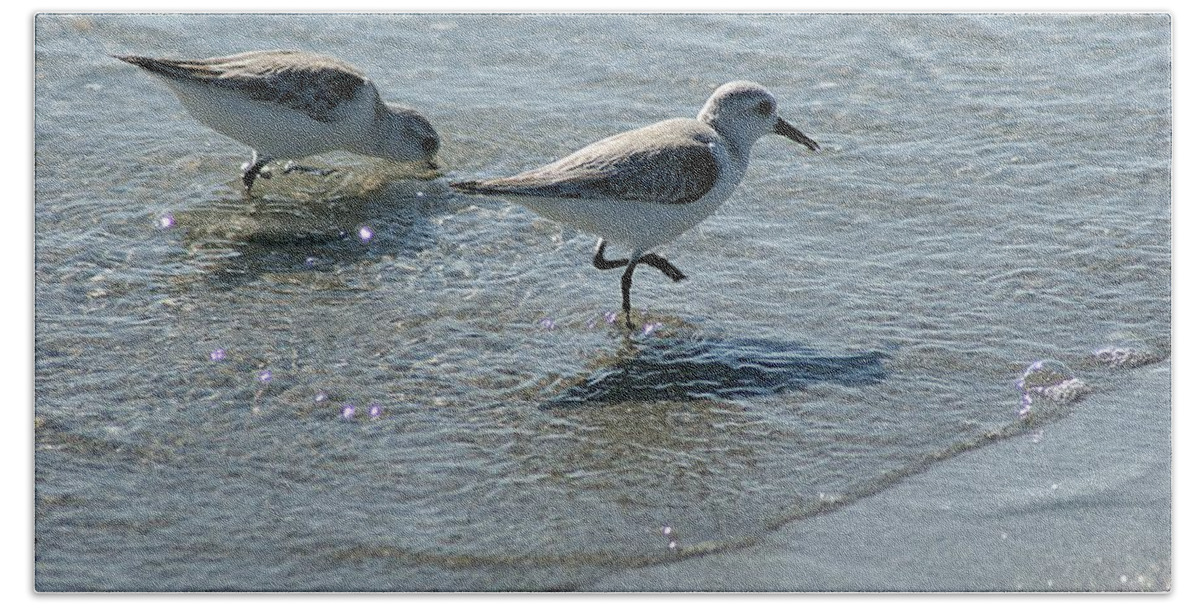 Sandpiper Bath Towel featuring the photograph Sandpiper 7 by Joe Faherty