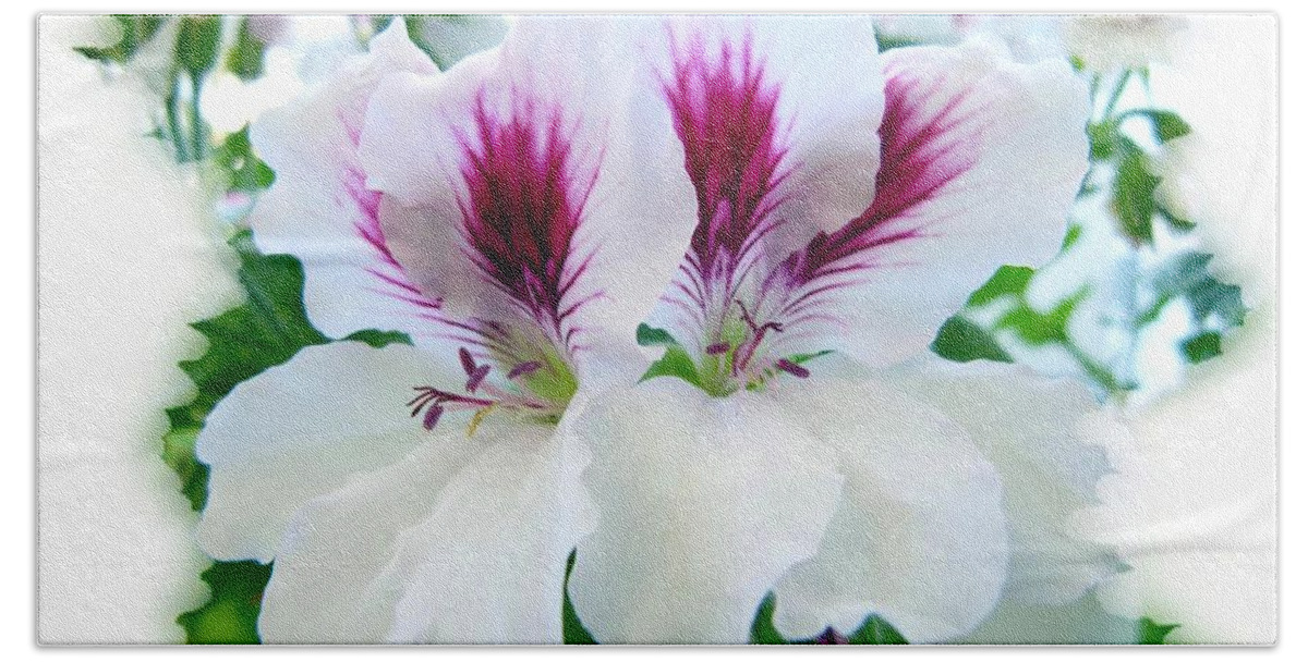 Scented Geraniums Bath Towel featuring the photograph Scented Geraniums 2 by Will Borden