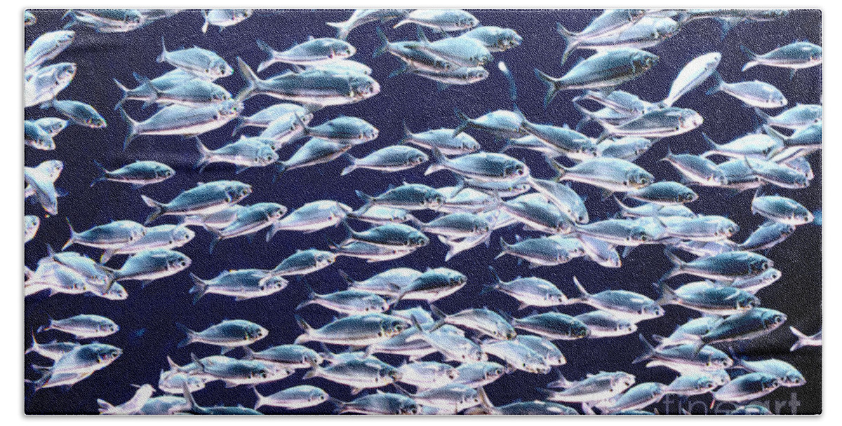 Horizontal Bath Towel featuring the photograph School of Threadfin Shad by Tom McHugh and Photo Researchers