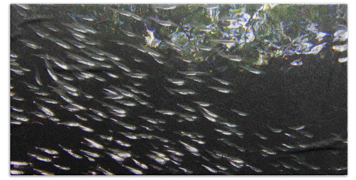 00463207 Hand Towel featuring the photograph Schooling Fish Under Red Mangrove by Christian Ziegler