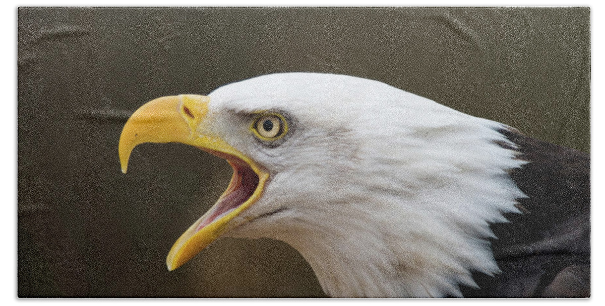 Eagle Hand Towel featuring the photograph Screamer by Steve Stuller