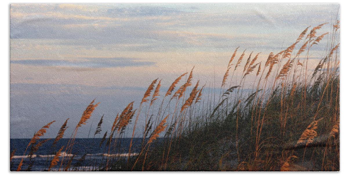 Matte Print Bath Towel featuring the photograph Sea Oats Blowing In The Wind by Kim Galluzzo