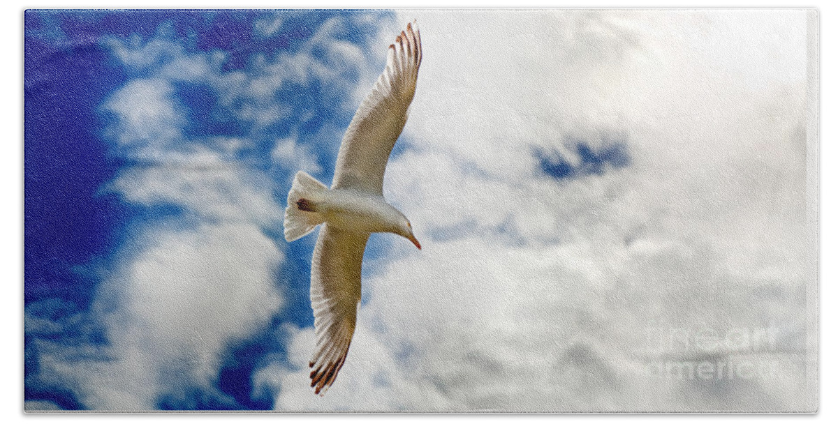 Seagul Bath Towel featuring the photograph Seagul gliding in flight by Simon Bratt