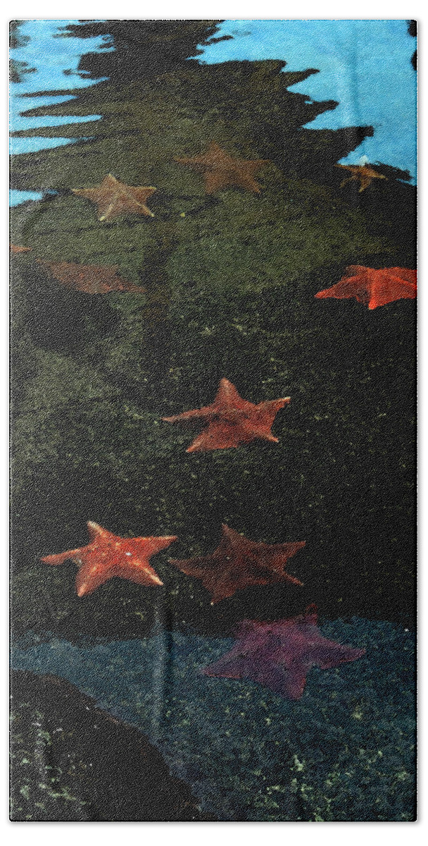 Sea Hand Towel featuring the photograph SeaStars by Karen Harrison Brown