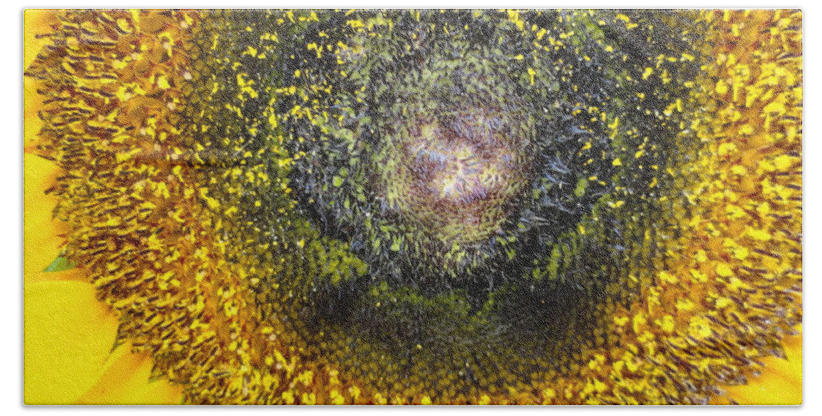 Sunflower Bath Towel featuring the photograph Seeds by Shannon Grissom