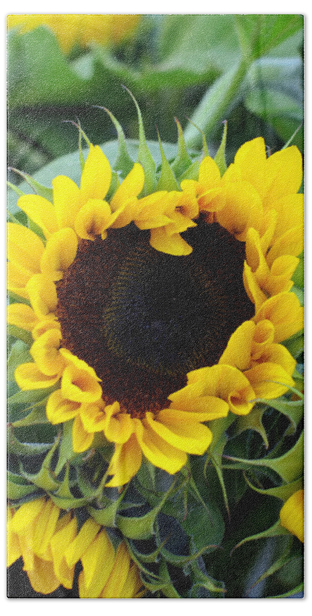 Sunflower Bath Towel featuring the photograph Sharing the Love by Linda Mishler
