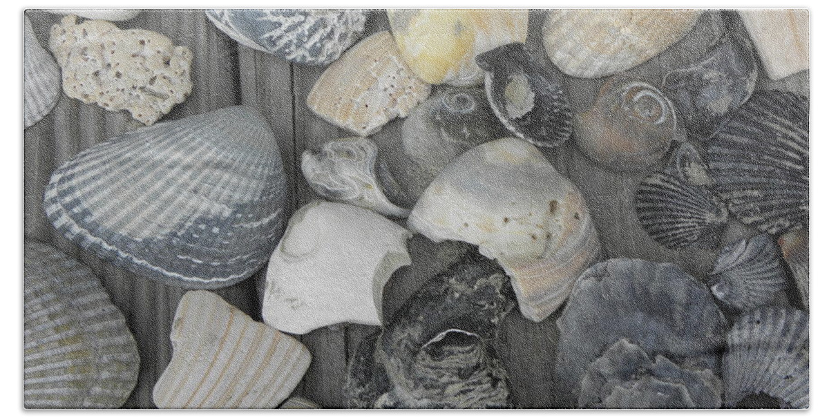 Sea Shells Bath Towel featuring the photograph Shells Shells Shells by Kim Galluzzo