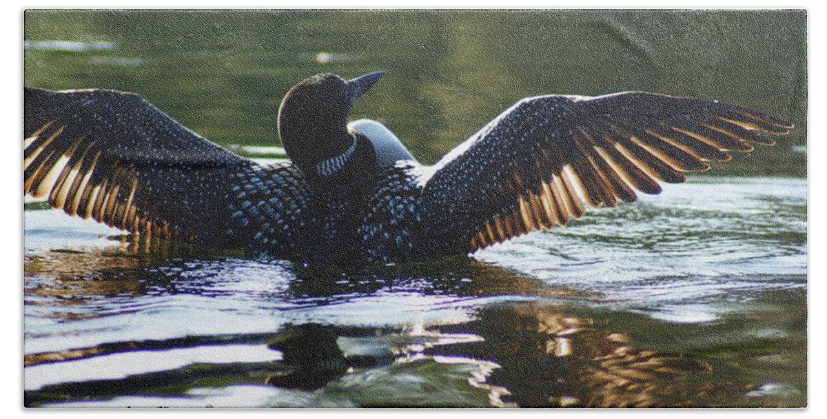 Loon Hand Towel featuring the photograph Showing Off by Steven Clipperton