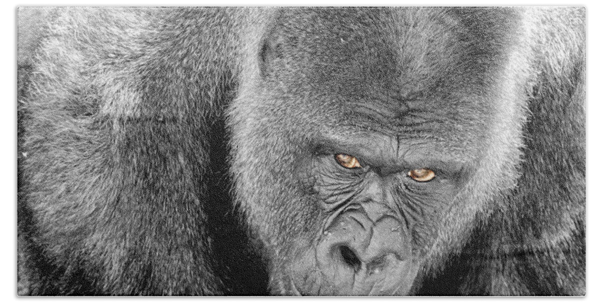 Ape Hand Towel featuring the photograph Silverback Staredown by Jason Politte