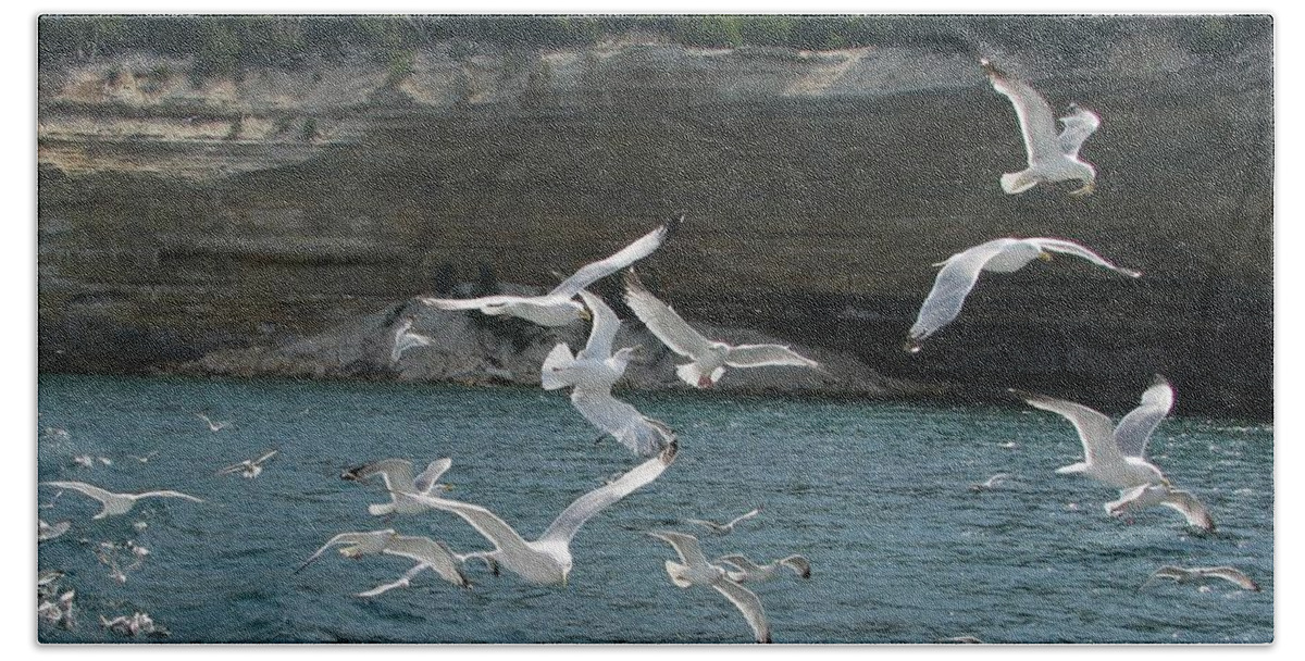 Herring Gulls Hand Towel featuring the photograph Soaring Pictured Rocks 2 by Keith Stokes