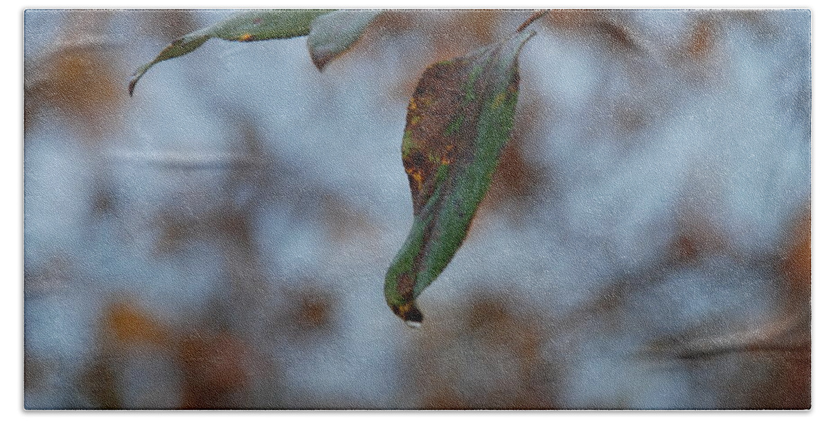 Leaf Bath Towel featuring the photograph Solitary by Michael Merry