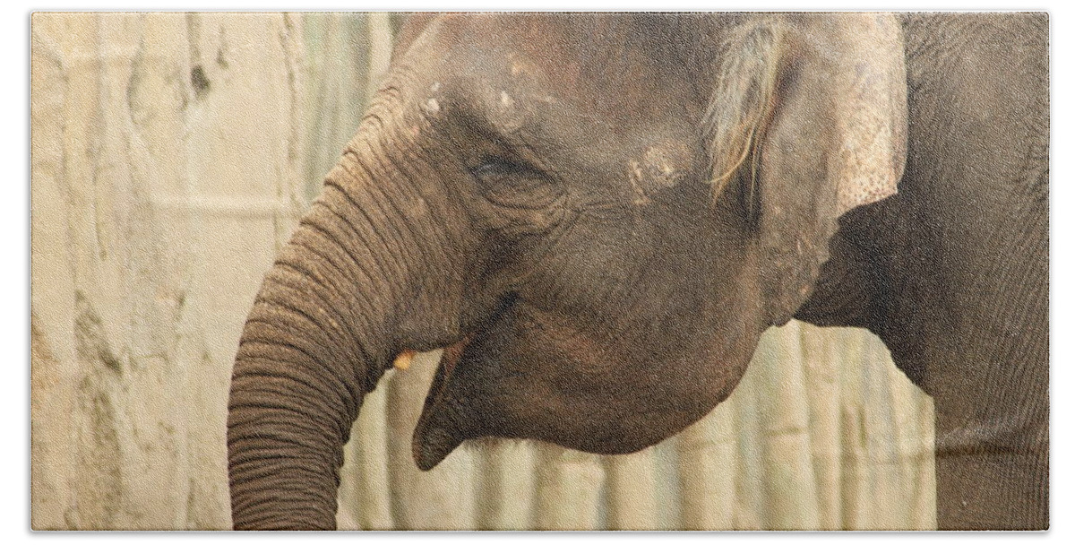 Elephant Bath Towel featuring the photograph Some Smiles For You by Laddie Halupa