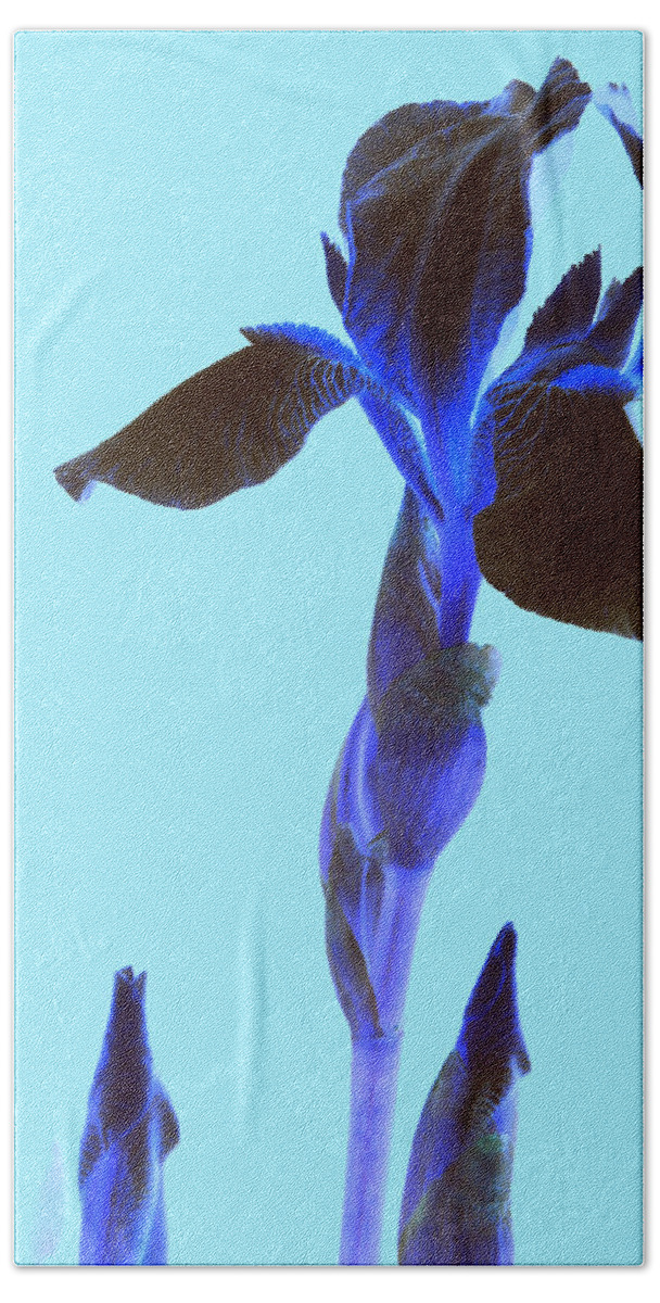 Iris Bath Towel featuring the photograph Spring Abstract by Kim Galluzzo